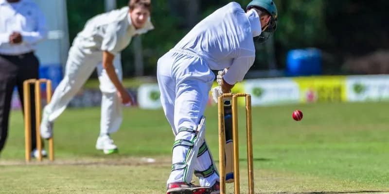 Các yếu tố ảnh hưởng đến cá cược cricket